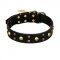 "Heavy Metal" Leather German Shepherd Collar with Skulls and Studs 1 1/2 inch (40 mm)