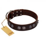 "King Arthur" FDT Artisan Brown Leather German Shepherd Collar with Spiky Plates
