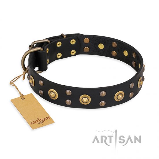 "Cosmic Glow" FDT Artisan Black Leather German Shepherd Collar with Brass-Plated Studs