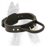 Two ply leather training dog collar with handle