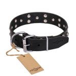 "Mystic Skulls" Decorated Leather German Shepherd Collar with Skulls and Studs