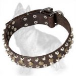 Leather German Shepherd Collar with Brass Studs and Nickel Pyramids