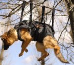 Tactical Insertion Harness - Crucial harness in rapid ascending