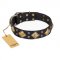 "Fancy-Schmancy" FDT Artisan Studded Leather German Shepherd Collar