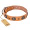 "Twinkle Twinkle" FDT Artisan Incredible Studded Tan Leather German Shepherd Collar