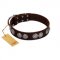 "High and Mighty" FDT Artisan Classy Brown Leather German Shepherd Collar with Embellished Brooches