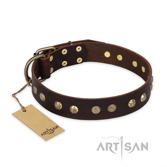 "Bronze Sheen" FDT Artisan Leather German Shepherd Collar with Brass-Plated Studs