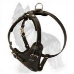 K9 Agitation Leather Dog Harness for police dog trainers