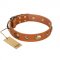 "Visual Magic" FDT Artisan Tan Leather German Shepherd Collar for Daily Activities