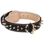 German Shepherd Nappa Padded Leather Dog Collar with 2 Rows of Brass Spikes