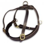 Buy Leather Roading Dog Harness for GSD