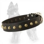 German Shepherd Leather Dog Collar with Brass Pyramids