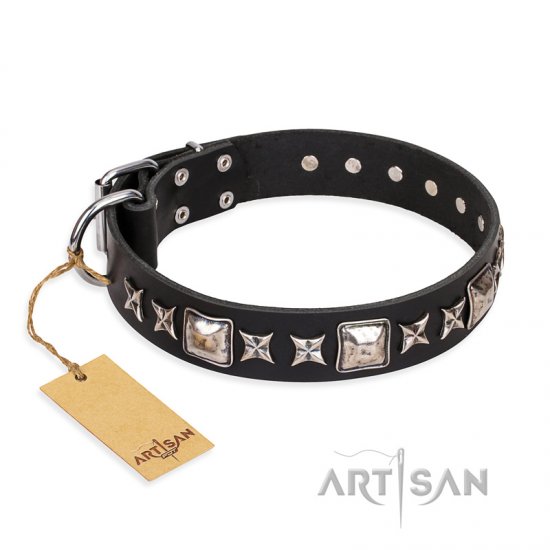 "Space Walk" FDT Artisan Black Leather German Shepherd Collar with Adornments
