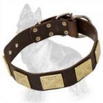 Leather German Shepherd Dog Collar with Brass Massive Plates