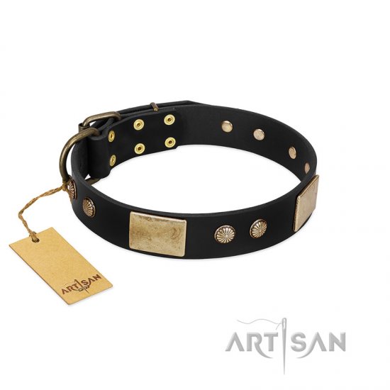 "Antique Gloss" FDT Artisan Black Leather German Shepherd Collar with Bronze-like Plates and Small Studs