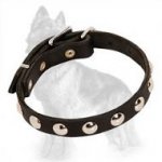 German Shepherd Leather Dog Collar with Nickel Half-Ball Studs
