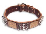 Walking GSD Shepherd Brown dog collar 18 inch/18'' collar- C86
