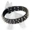 German Shepherd Leather Spiked Dog Collar