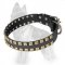German Shepherd Studded Leather Dog Collar Caterpillar Design