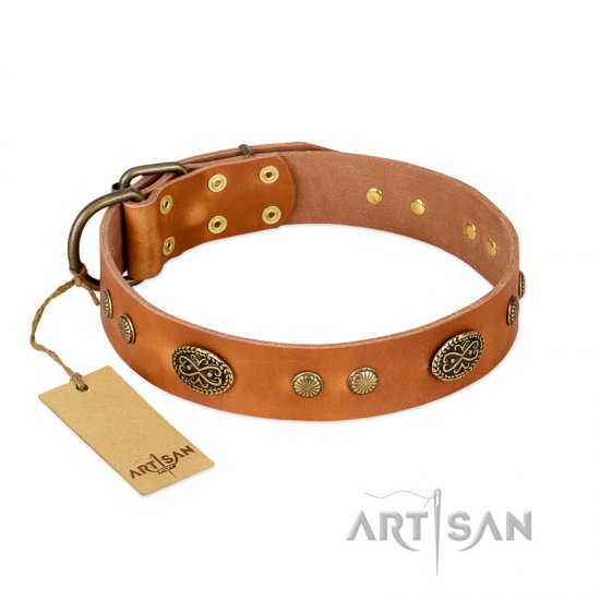 "Sun Beams" FDT Artisan Tan Leather German Shepherd Collar with Decorations