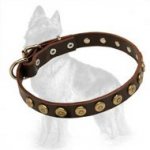 Gorgeous Wide Leather German Shepherd Collar with Dotted Circles