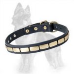 German Shepherd Leather Dog Collar with Slim Brass Plates