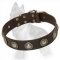 Gorgeous Wide Leather German Shepherd Collar with Silver Circles