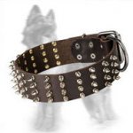 2 inch Wide Leather German Shepherd Collar Spiked in 4 Rows