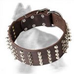 2 inch Wide Leather German Shepherd Collar with Nickel Spikes and Cones