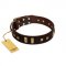 "Choco Delight" FDT Artisan Brown Leather German Shepherd Collar with Old Bronze-like Plates and Studs