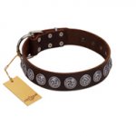"Charming Circles" FDT Artisan Brown Leather German Shepherd Collar with Silver-like Studs
