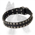 German Shepherd Leather Dog Collar with 2 Rows of Nickel Square Studs