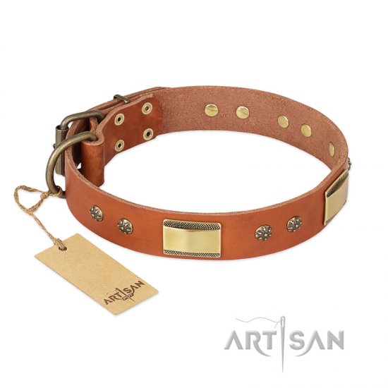 "Enchanting Spectacle" FDT Artisan Tan Leather German Shepherd Collar with Old Bronze Look Plates and Round Studs
