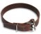 Leather Collar 1 inch wide for German Shepherd