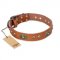 "Stunning Dress" FDT Artisan Tan Leather German Shepherd Collar with Old Bronze Look Plates and Studs