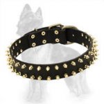 Leather German Shepherd Collar with Shining Brass Spikes