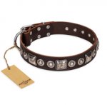 "Pierian spring" FDT Artisan Brown Leather German Shepherd Collar with Silvery Decorations