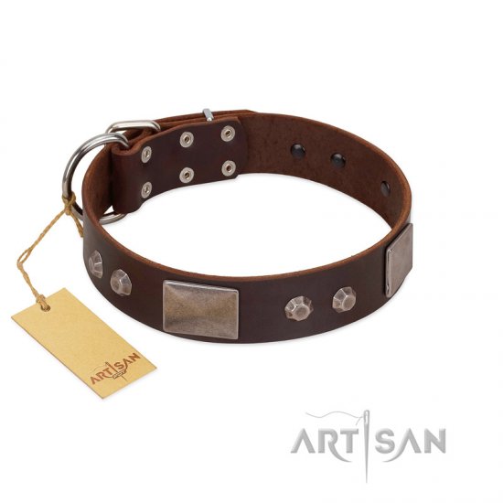 "Stone Stars" Stylish Handmade FDT Artisan Brown Leather German Shepherd Collar