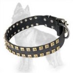 German Shepherd Studded Leather Dog Collar Caterpillar Design