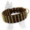 German Shepherd Wide Leather Dog Collar with Brass Spikes in 5 Rows