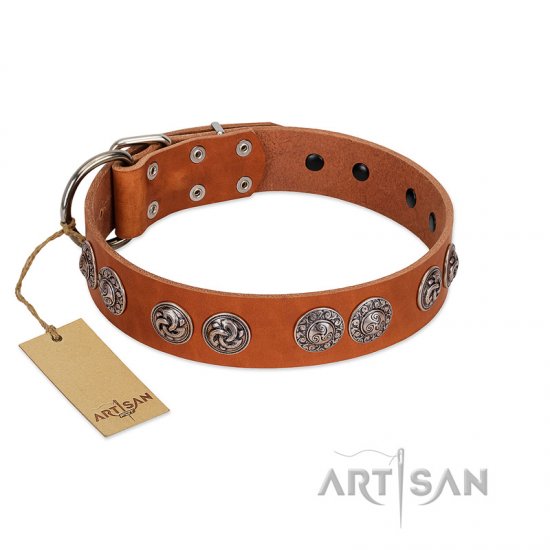 "Woofy Majesty" FDT Artisan Tan Leather German Shepherd Collar with Round Silver-like Plates