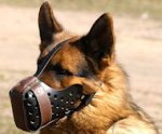 German Shepherd training Leather dog muzzle "Dondi"-plus style