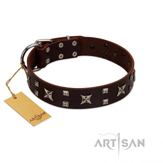 "Bigwig Woof" FDT Artisan Brown Leather German Shepherd Collar with Chrome Plated Stars and Square Studs