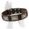 Leather German Shepherd Collar with Unusual Nickel Plates