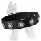 German Shepherd Nylon Dog Collar with Silver Circles
