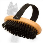 Wooden German Shepherd Brush with Bristle