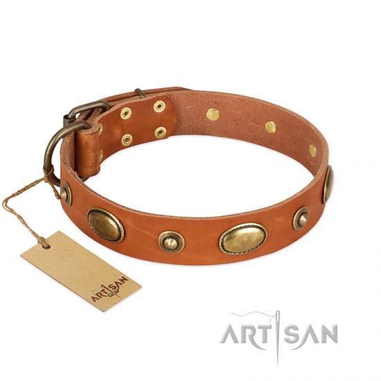 "Visual Magic" FDT Artisan Tan Leather German Shepherd Collar for Daily Activities