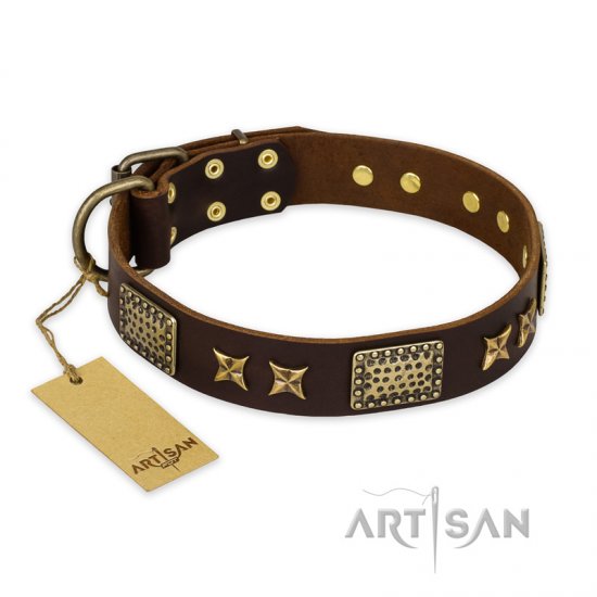 "Sparkling Bronze" FDT Artisan Genuine Leather German Shepherd Collar with Bronze Look Stars and Plates