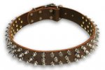 Spiked Brown collar 24'' for Alsatian Dog/24 inch dog collar-S44