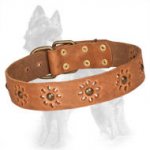 Blooming Leather German Shepherd Collar with Brass Studs